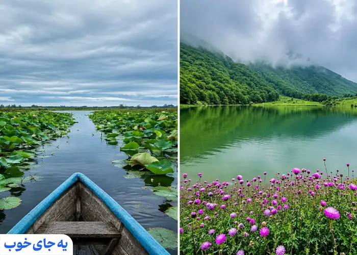 تالاب انزلی ودریاچه ویستان